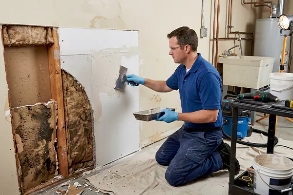 Mold and Drywall Repair Richardson