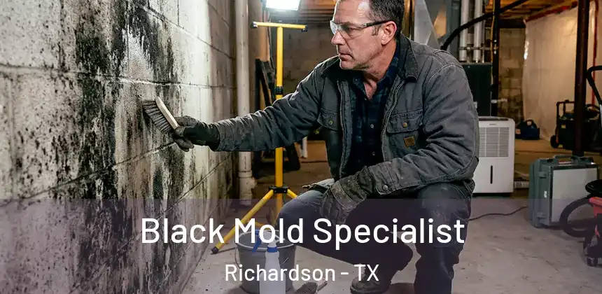  Black Mold Specialist Richardson - TX