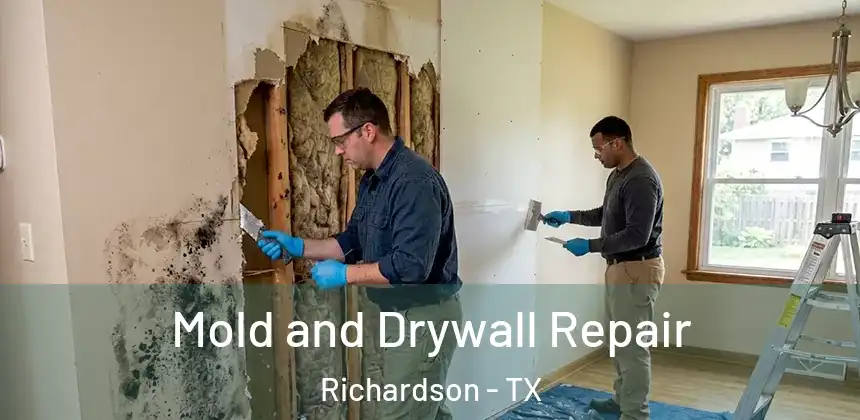 Mold and Drywall Repair Richardson - TX