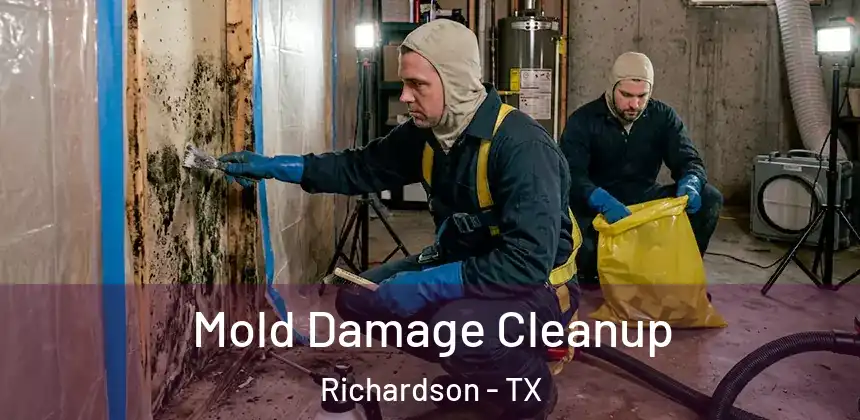 Mold Damage Cleanup Richardson - TX