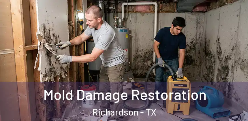 Mold Damage Restoration Richardson - TX