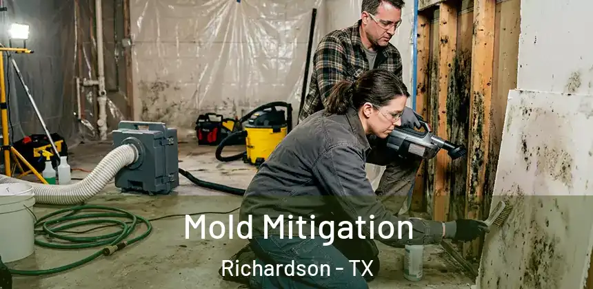  Mold Mitigation Richardson - TX