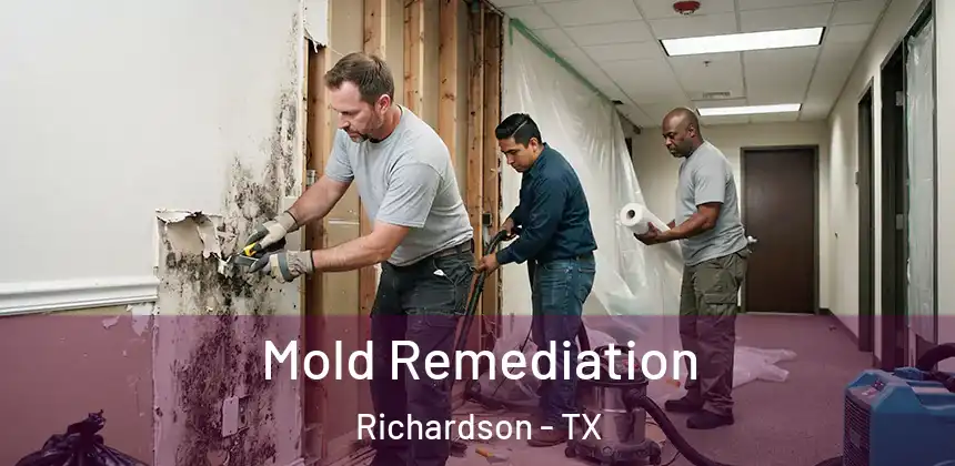 Mold Remediation Richardson - TX