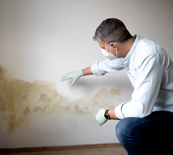 Mold Removal Service in Richardson, TX