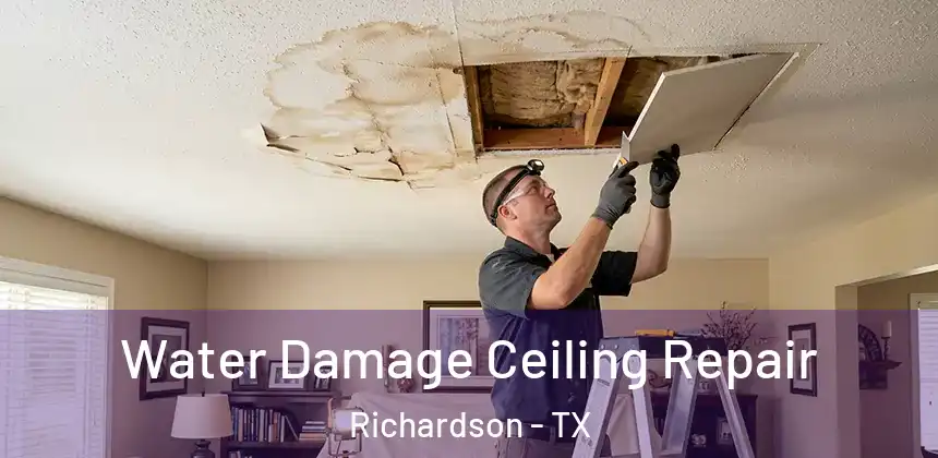  Water Damage Ceiling Repair Richardson - TX