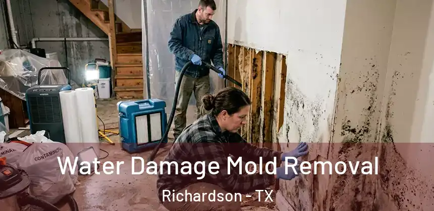  Water Damage Mold Removal Richardson - TX